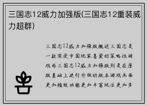 三国志12威力加强版(三国志12重装威力超群)